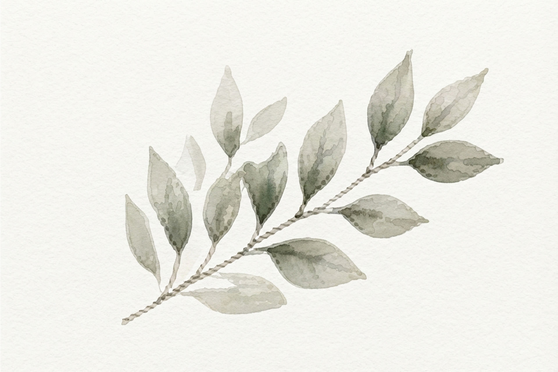 foglie-SX.jpg